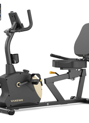 VANSWE RB406  Exercise Bikes Recumbent Bike