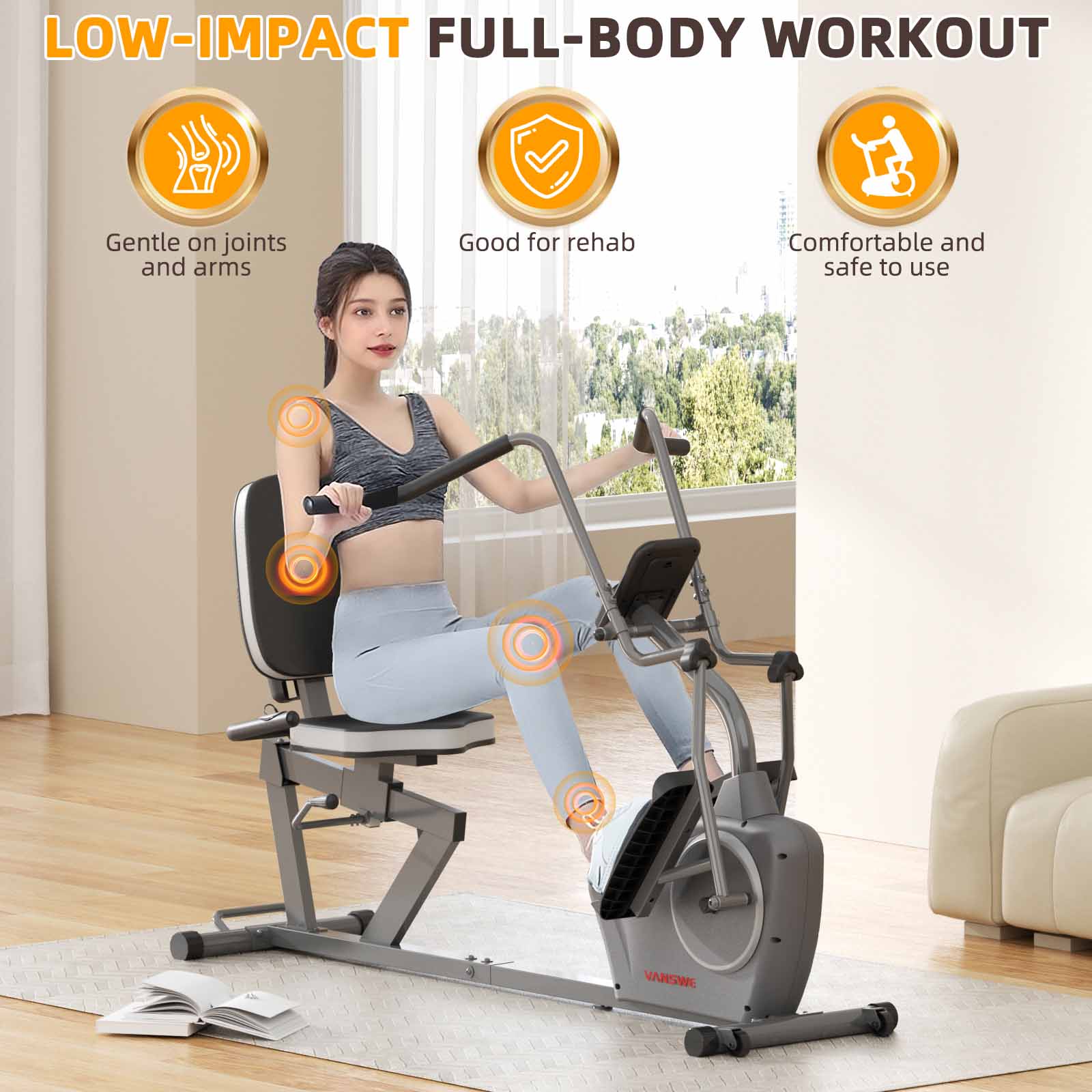 VANSWE RB408 Recumbent Exercise Bike with Arm Exerciser