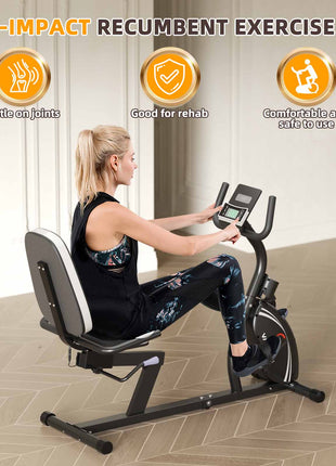 VANSWE  Recumbent Exercise Bike| Silver